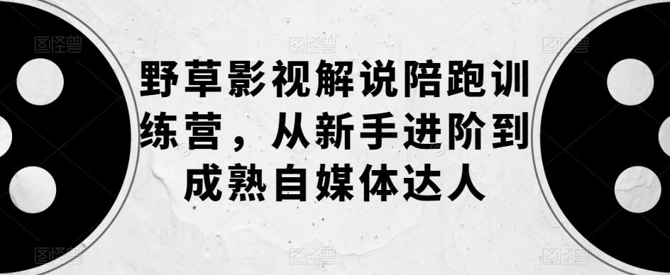 野草影视解说陪跑训练营，从新手进阶到成熟自媒体达人-赛德副业库
