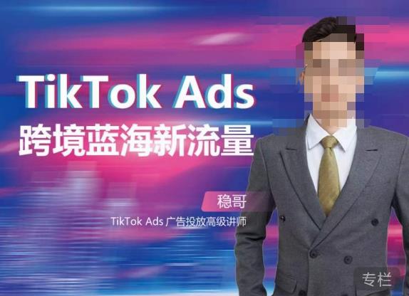 稳哥·如何投出高ROI的TikTok广告，开拓独立站卖家流量新蓝海-赛德副业库