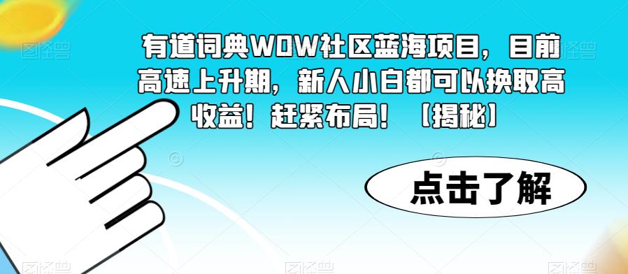 有道词典WOW社区蓝海项目,目前高速上升期,新人小白都可以换取高收益!赶紧布局!【揭秘】-赛德副业库