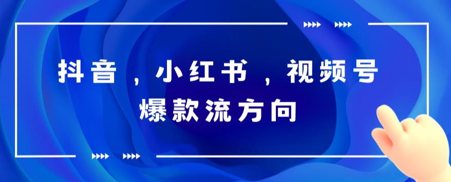 抖音，小红书，视频号爆款流视频制作，简单制作掌握流量密码-赛德副业库