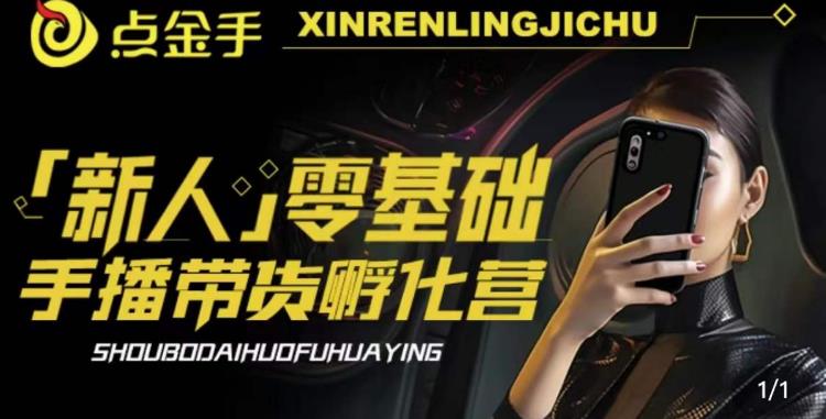 2023点金手·新人零基础手播带货孵化营：账号运营篇+主播话术篇+数据流量篇等-赛德副业库
