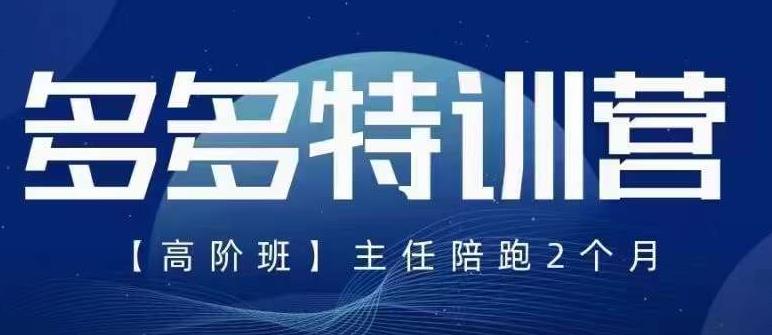 纪主任·5月最新多多特训营高阶班，玩法落地实操，多多全掌握-赛德副业库