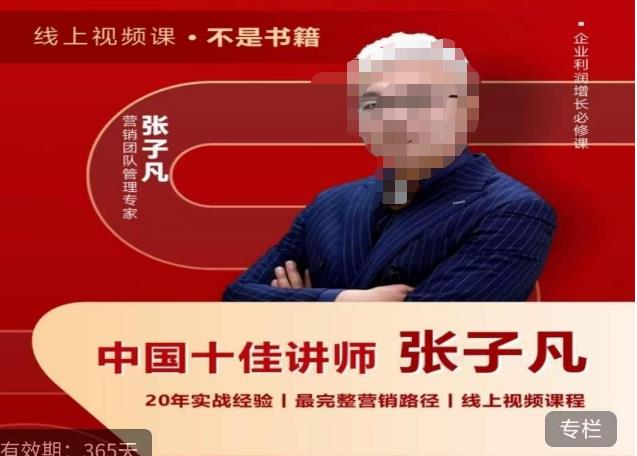 张子凡·20年实战经验，揭秘营销背后的底层逻辑，突破思维局限，从根本上破解营销难题-赛德副业库
