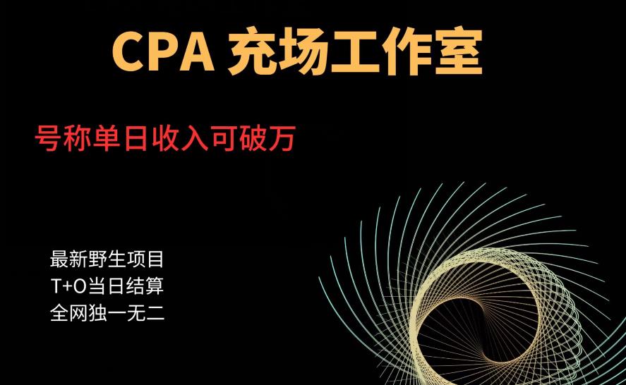 cpa充场工作室，号称单日收入10000+（揭秘）-赛德副业库