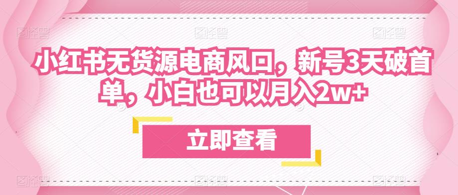 众狼电商余文小红书无货源电商风口，新号3天破首单，小白也可以月入2w+-赛德副业库