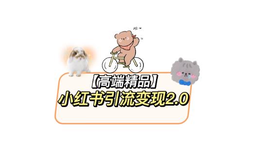 小红书最新引流变现教程，全网最新最详细的视频教程以及素材-赛德副业库