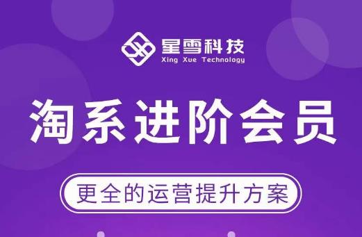 星雪·淘系进阶课程，快速提升突破技能流量瓶颈必备（更新2023年5月）-赛德副业库