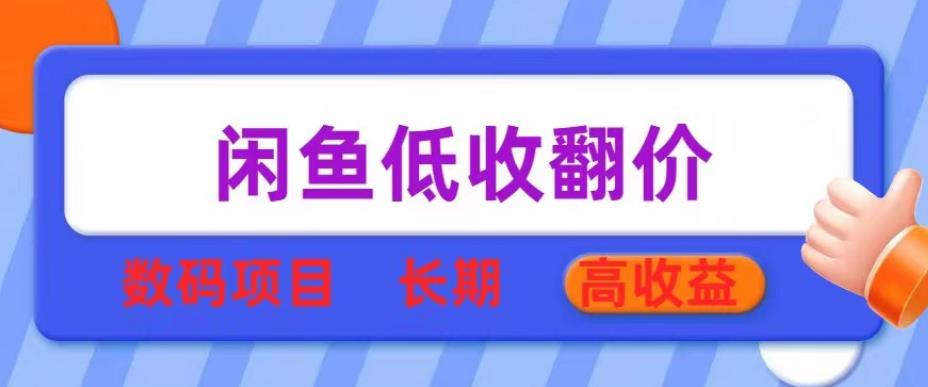 闲鱼低收翻价数码暴利项目，长期高收益【揭秘】-赛德副业库