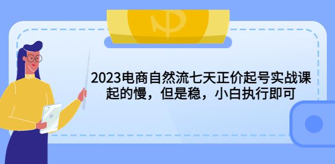 2023电商自然流七天正价起号实战课：起的慢，但是稳，小白执行即可！-赛德副业库
