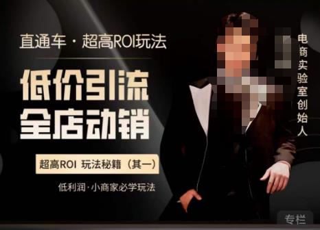 电商冰可乐·直通车·《低价引流·全店动销》,直通车·超高ROI玩法(其一)全店动销必学玩法-赛德副业库