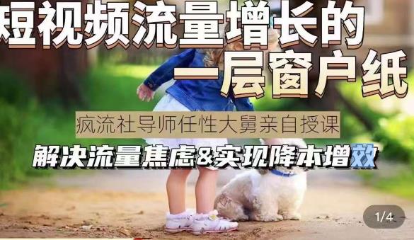 任性大舅·宠物行业短视频运营课(不讲废话)，短视频流量增长的一层窗户纸，解决流量焦虑&实现降本增效-赛德副业库