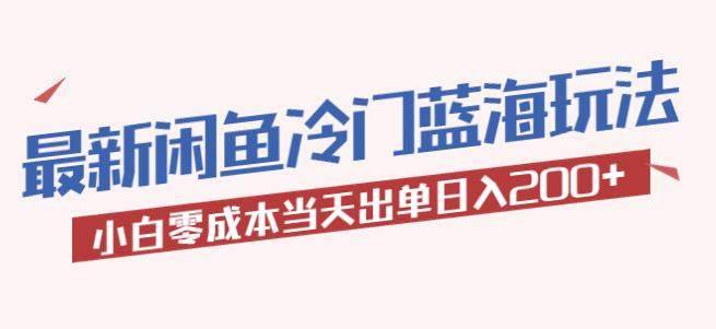 2023最新闲鱼冷门蓝海玩法，小白零成本当天出单日入200+【揭秘】-赛德副业库