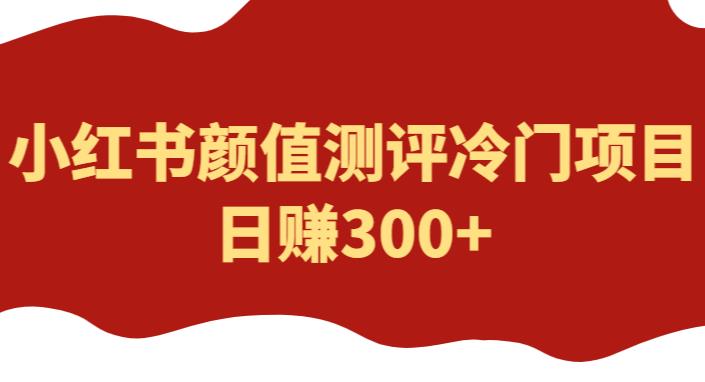 外面1980的项目，小红书颜值测评冷门项目，日赚300+【揭秘】-赛德副业库