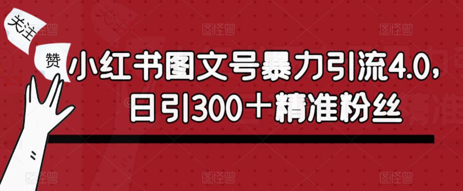 小红书图文号暴力引流4.0，日引300＋精准粉丝【揭秘】-赛德副业库