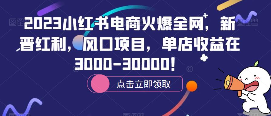 2023小红书电商火爆全网，新晋红利，风口项目，单店收益在3000-30000！-赛德副业库