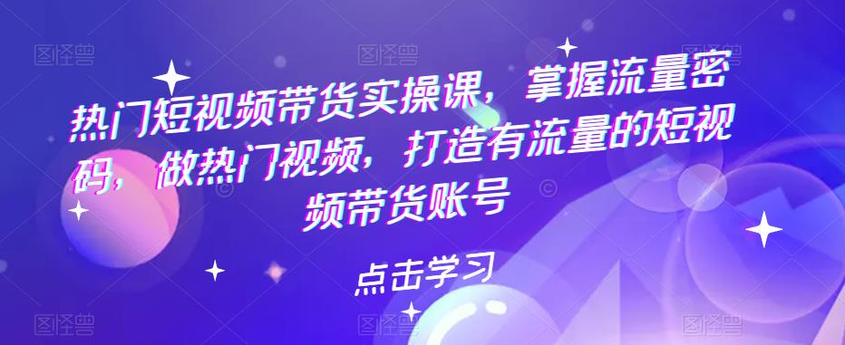 热门短视频带货实操课，掌握流量密码，做热门视频，打造有流量的短视频带货账号-赛德副业库