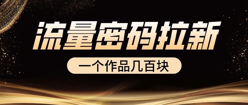 流量密码拉新项目， 一个作品几百块-赛德副业库
