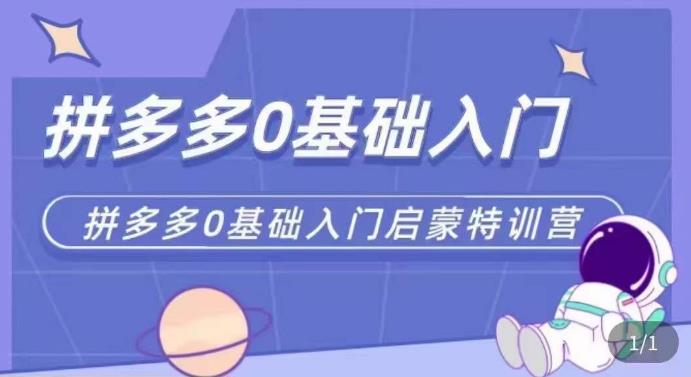 拼多多运营0-1实操特训营，拼多多0基础入门，从基础到进阶的可实操玩法-赛德副业库