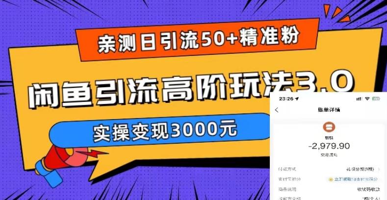 亲测日引50+精准粉,闲鱼引流高阶玩法3.0,实操变现3000元【揭秘】-赛德副业库