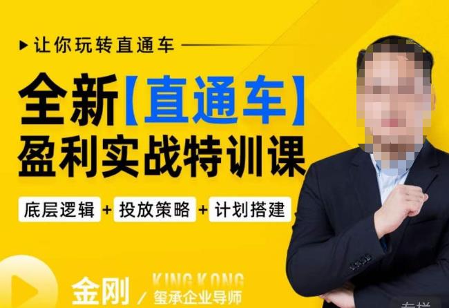 玺承·全新直通车盈利实战特训课，从​底层逻辑详细拆解，从底层，策略到搭建，让你玩转直通车-赛德副业库