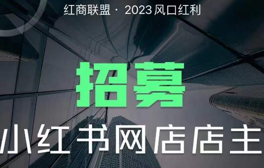 红商联盟·小红书无货源电商1.0，0粉丝无需囤货，小白也可以轻松上手的无货源项目-赛德副业库