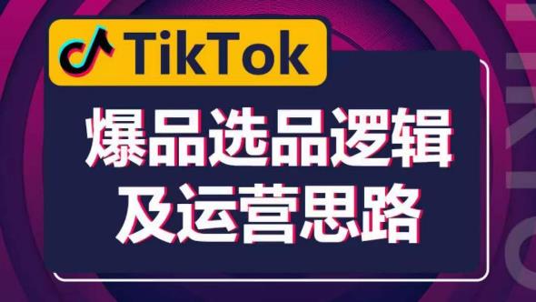 TikTok爆品选品逻辑及运营思路：解决网络环境快速入门TikTok-赛德副业库