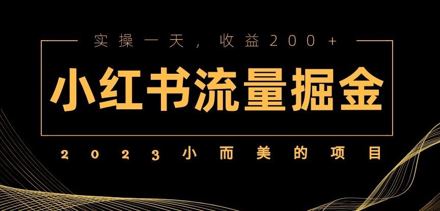 2023小而美的项目，小红书流量掘金，实操一天，收益200+【揭秘】-赛德副业库