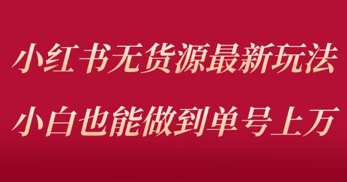 小红书无货源最新螺旋起号玩法,电商小白也能做到单号上万(价值3980元)-赛德副业库