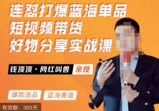 网红叫兽·连怼打爆蓝海单品，短视频带货好物分享实战课-赛德副业库