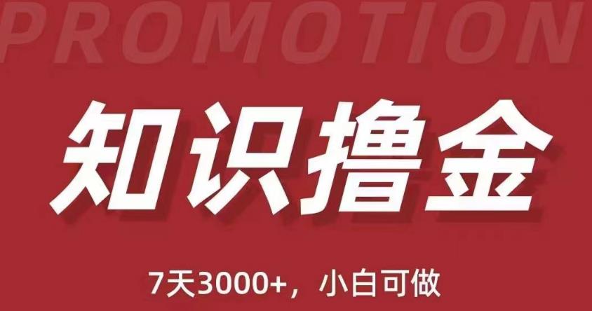 抖音知识撸金项目：简单粗暴日入1000+执行力强当天见收益(教程+资料)-赛德副业库