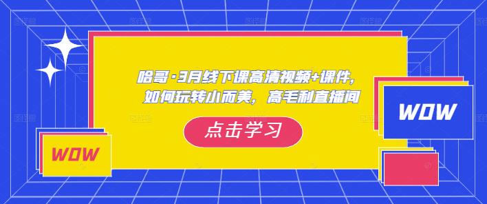 哈哥·3月线下实操课高清视频+课件，如何玩转小而美，高毛利直播间-赛德副业库