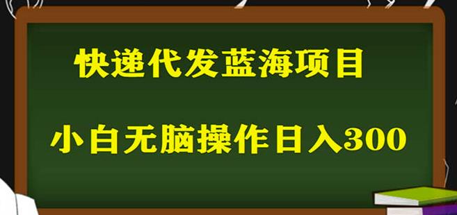 2023最新蓝海快递代发项目，小白零成本照抄也能日入300+-赛德副业库