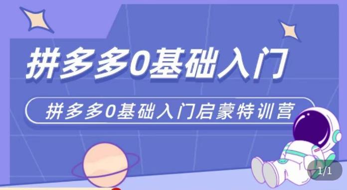六一电商·拼多多运营0-1实操特训营,拼多多从基础到进阶的可实操玩法-赛德副业库