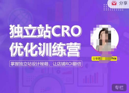 独立站CRO优化训练营，掌握独立站设计秘籍，打造高转化的独立站，让店铺ROI翻倍-赛德副业库