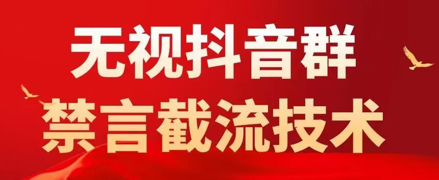 外面卖1500抖音粉丝群无视禁言截流技术,抖音黑科技,直接引流,0封号-赛德副业库