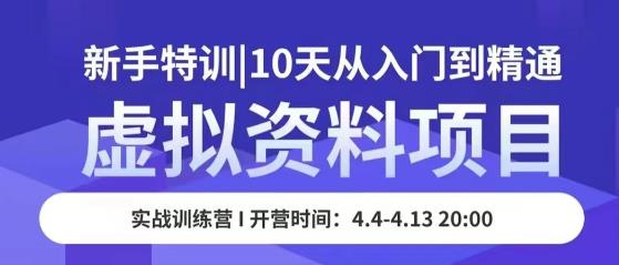 虚拟资料项目新手特训，10天从入门到精通，保姆级实操教学-赛德副业库
