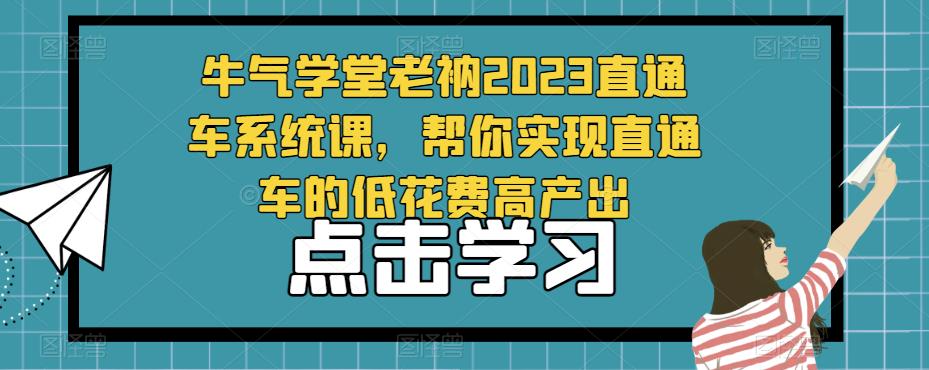 牛气学堂老衲2023直通车系统课,帮你实现直通车的低花费高产出-赛德副业库