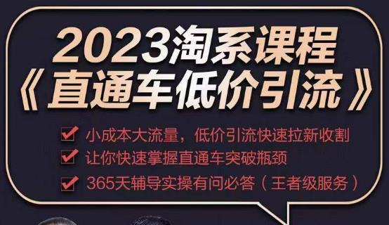 2023直通车低价引流玩法课程，小成本大流量，低价引流快速拉新收割，让你快速掌握直通车突破瓶颈-赛德副业库
