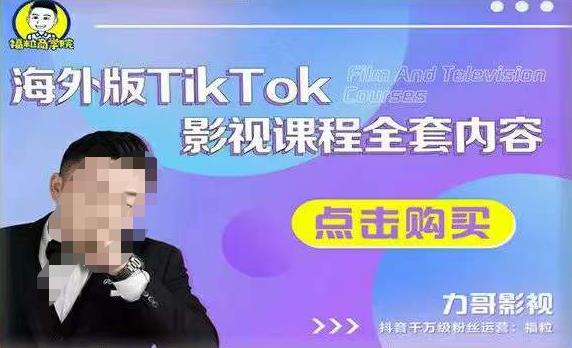 海外TikTok影视课程全套，从搭建渠道，到如何正确使用账号，到未来的变现渠道等-赛德副业库