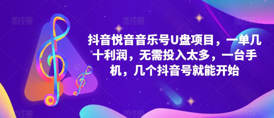抖音音乐号U盘项目，一单几十利润，无需投入太多，一台手机，几个抖音号就能开始-赛德副业库