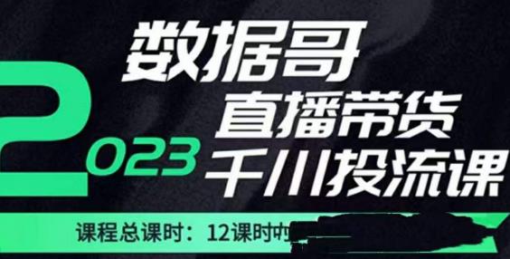 数据哥2023直播电商巨量千川付费投流实操课，快速掌握直播带货运营投放策略-赛德副业库