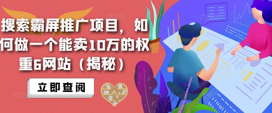 搜索霸屏推广项目，如何做一个能卖10万的权重6网站（揭秘）-赛德副业库