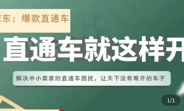 冠东·淘系直通车保姆级教程,全面讲解直通车就那么简单-赛德副业库