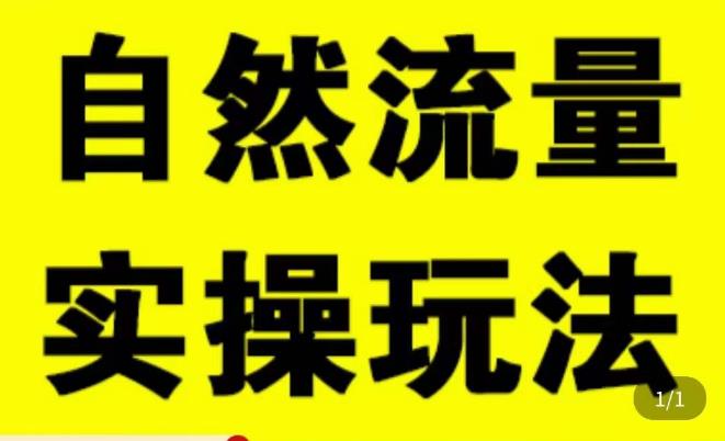 拼多多自然流量天花板,拼多多自然流的实操玩法,自然流量是怎么来的,如何开车带来自然流等知识-赛德副业库