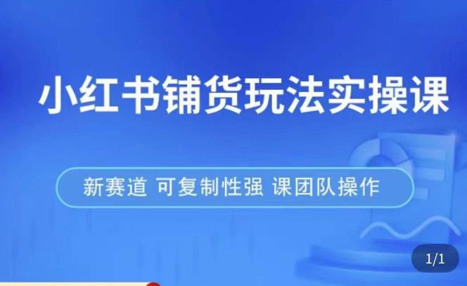 小红书铺货玩法实操课，流量大，竞争小，非常好做，新赛道，可复制性强，可团队操作-赛德副业库
