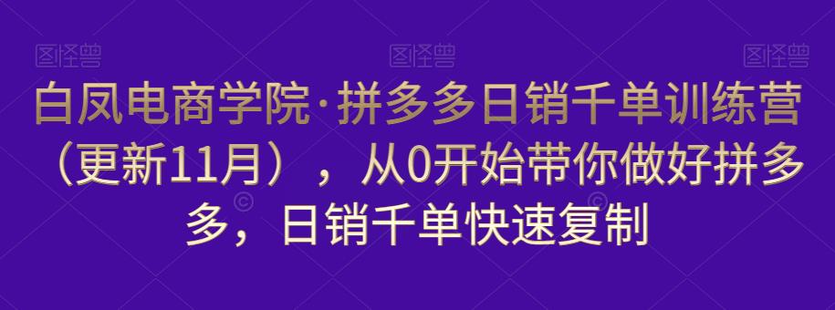 白凤电商学院·拼多多日销千单训练营，从0开始带你做好拼多多，日销千单快速复制（更新知2023年3月）-赛德副业库