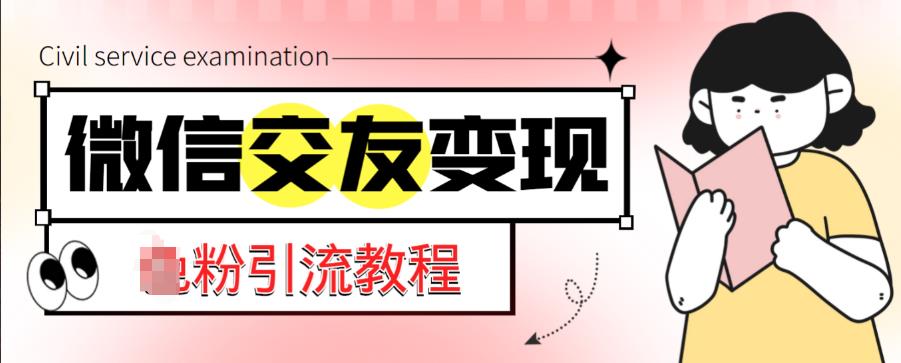 微信交友变现项目，吸引全网LSP男粉精准变现，小白也能轻松上手，日入500+-赛德副业库