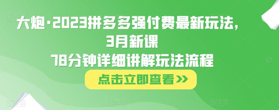 大炮·2023拼多多强付费最新玩法，3月新课​78分钟详细讲解玩法流程-赛德副业库