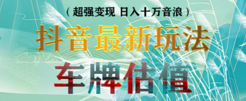 抖音最新无人直播变现直播车牌估值玩法项目，轻松日赚几百+【详细玩法教程】-赛德副业库