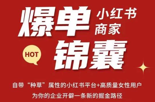 无畏·小红书商家爆单锦囊，掌握小红书各大规则，快速精准抢占行业和市场-赛德副业库